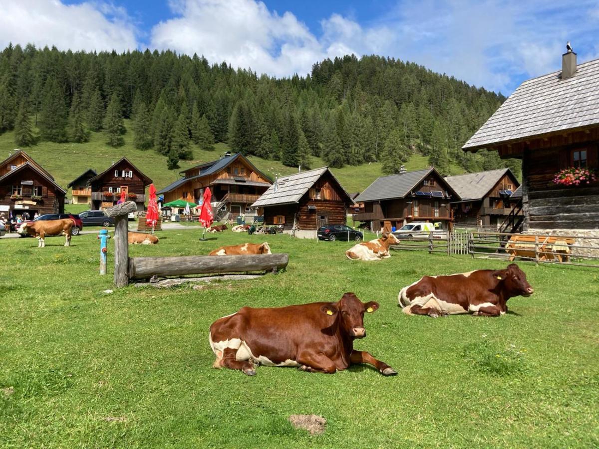Апартаменты Berghaus Вайсбриах Экстерьер фото